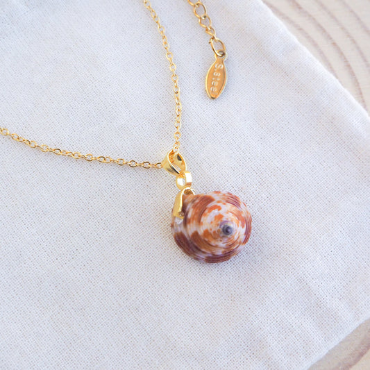 European Painted Top Shell Gold Necklace on display