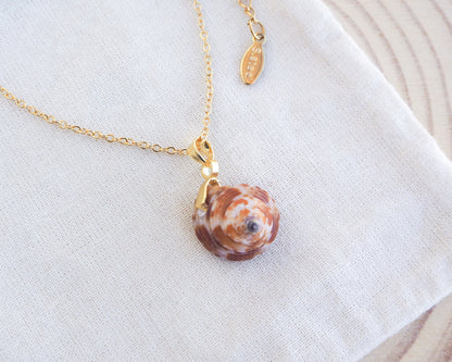 Close up of European Painted Top Shell Gold Necklace on display. Handpicked tiny  shell from Portugal. Made of 18k gold stainless steel
