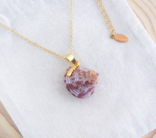 European Top Shell Necklace on display