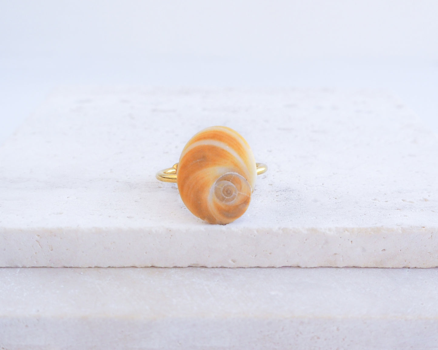 Gold Eye of Saint Lucia Shell Ring on display, Saint Lucys Eye Shell, Cat Eye Ring, Shell from Portugal, Sea by Lou 