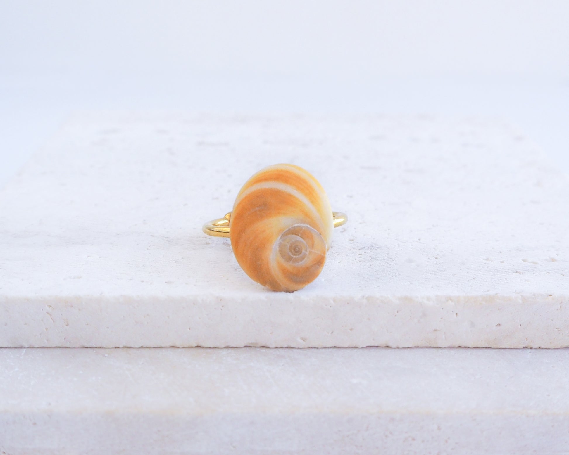 Gold Eye of Saint Lucia Shell Ring on display, Saint Lucys Eye Shell, Cat Eye Ring, Shell from Portugal, Sea by Lou 