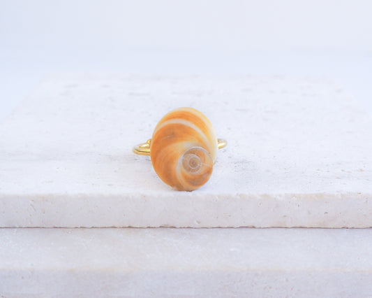 Gold Eye of Saint Lucia Shell Ring on display, Saint Lucys Eye Shell, Cat Eye Ring, Shell from Portugal, Sea by Lou 