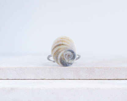 Eye of Saint Lucia Shell Silver Ring II displayed on stone front view, shiva eye from Portugal