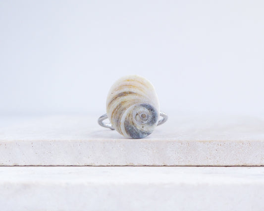 Eye of Saint Lucia Shell Silver Ring II displayed on stone front view, shiva eye from Portugal