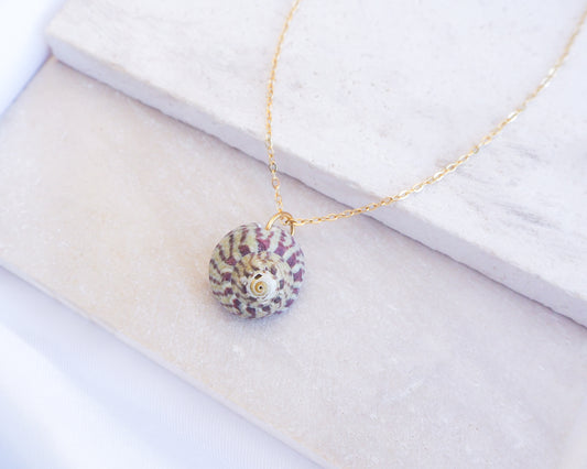 Fuchsia Green Striped Top Shell Necklace on stone display, with gold stainless steel chain. Real shell necklace from Portugal.