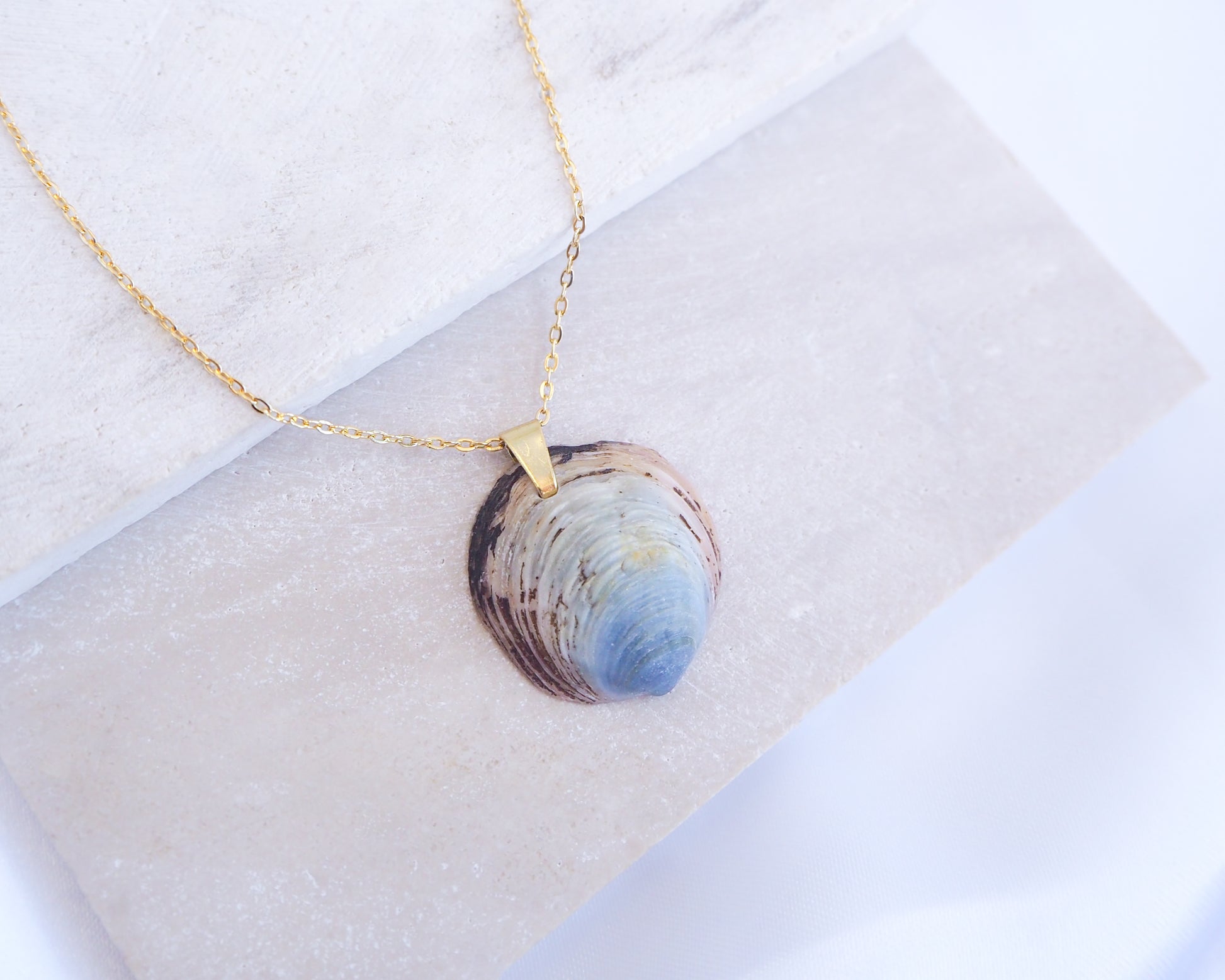 Blue Ungulina Rubra Shell Necklace with gold chain on stone displayed, handpicked blue mussel shell from Portugal, blue cockle shell 