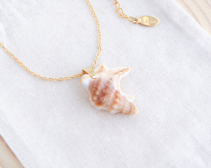 Gold Brown Pelicans Foot Shell Necklace on display