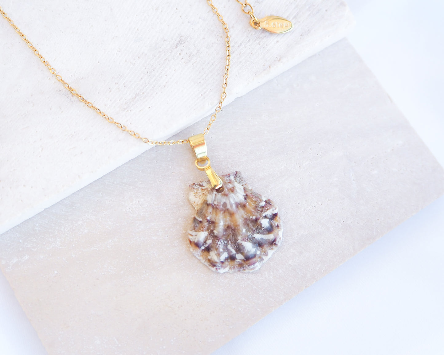 Gold Brown White Scallop Shell Necklace on stone displayed, Brown White Leopard Scallop Shell from Portugal, 18k gold stainless steel chain, Flexopecten flexuosus shell necklace