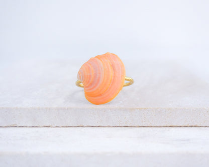 Coral Orange Shell Ring from Portugal displayed on stone, colorful orange shell gold ring