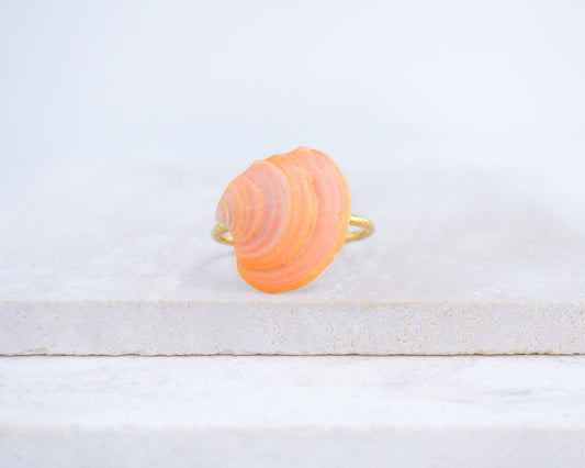 Coral Orange Shell Ring from Portugal displayed on stone, colorful orange shell gold ring