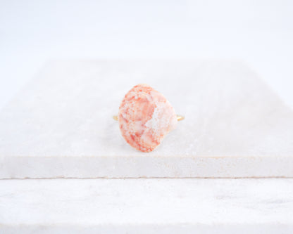 Close up of Coral Pink Venus Shell Ring from Portugal displayed on stone, Marble Pink shell on gold ring, handpicked real shell from Portugal