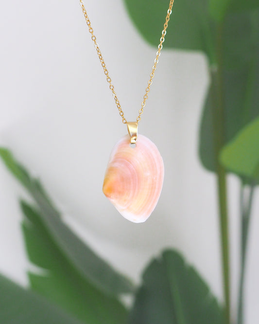 Coral Pink Thin Tellin Shell Gold Necklace front view