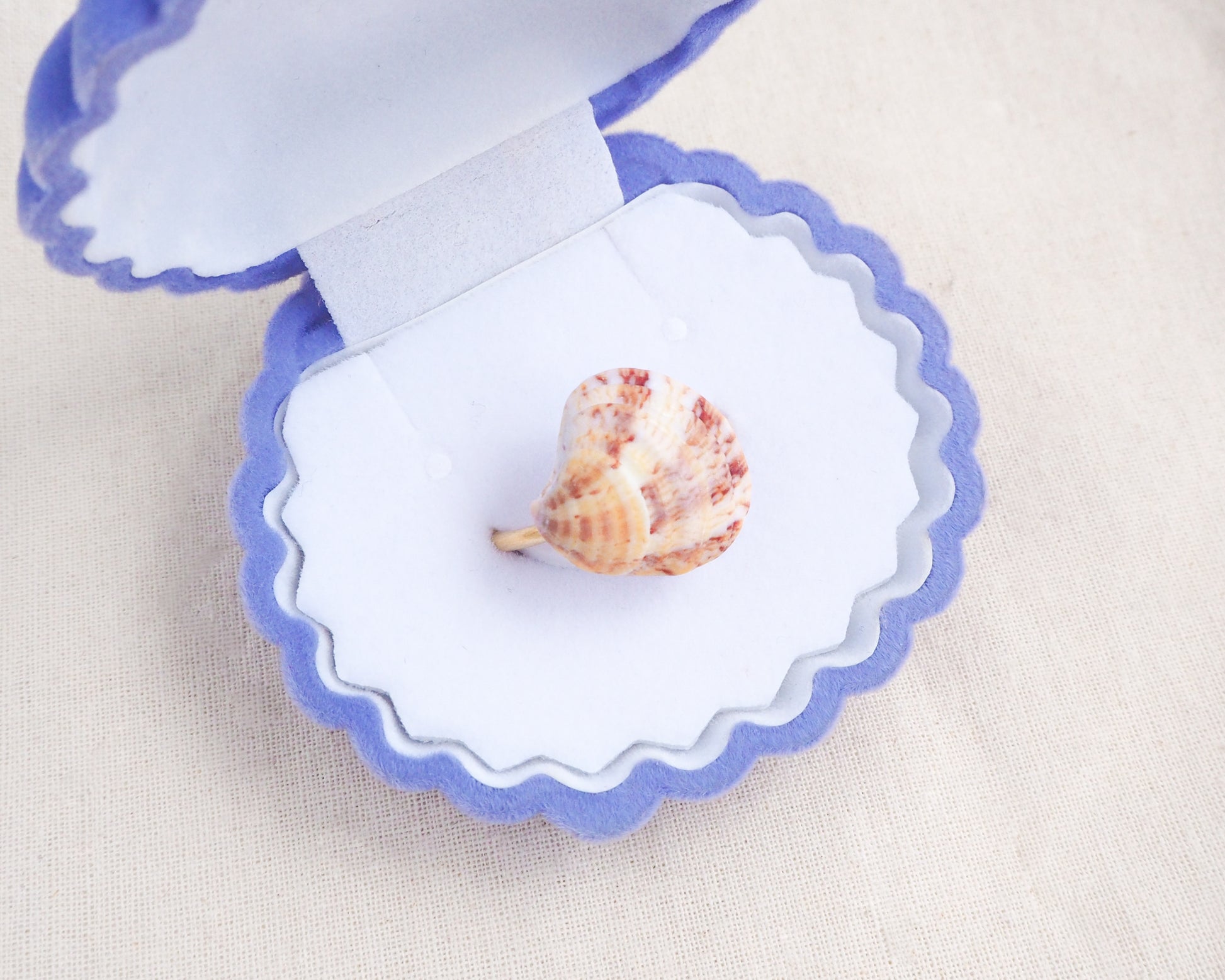 Coral Venus Shell Gold Ring from Portugal in blue seashell jewelry box, patterned colorful pink orange red shell ring