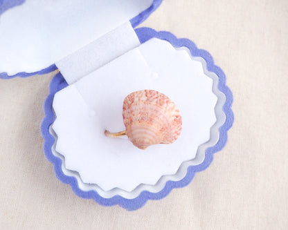 Pink Venus Shell Ring from Portugal displayed in blue velvet seashell jewelry box, Dusty Rose Pink shell on gold ring, handpicked real shell from Portugal