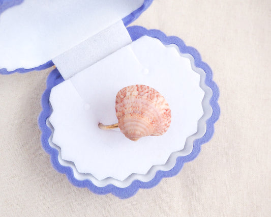 Pink Venus Shell Ring from Portugal displayed in blue velvet seashell jewelry box, Dusty Rose Pink shell on gold ring, handpicked real shell from Portugal