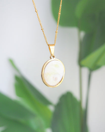 Eye of Saint Lucia Gold Necklace front view with plant background, 18k gold stainless steel shiva eye pendant necklace, Saint Lucy Eye, operculum pendant