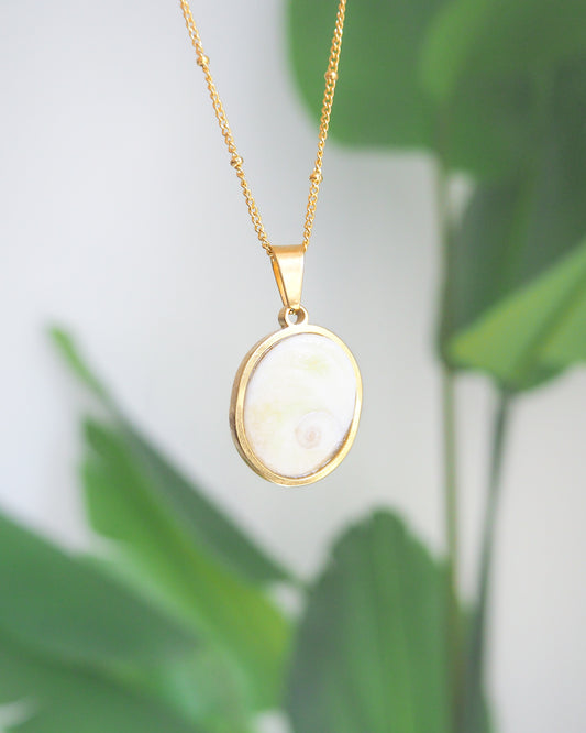 Eye of Saint Lucia Gold Necklace front view with plant background, 18k gold stainless steel shiva eye pendant necklace, Saint Lucy Eye, operculum pendant