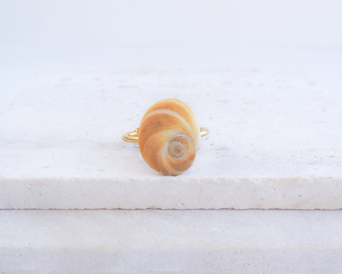 Gold Eye of Saint Lucia Shell Ring on display, Saint Lucys Eye Shell, Cat Eye Ring, Shell from Portugal, Sea by Lou 