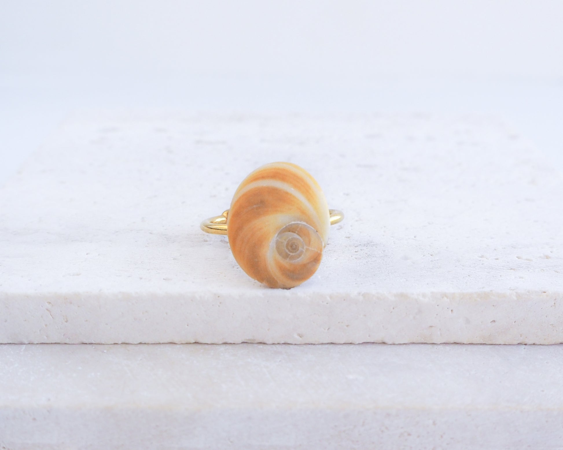 Gold Eye of Saint Lucia Shell Ring on display, Saint Lucys Eye Shell, Cat Eye Ring, Shell from Portugal, Sea by Lou 