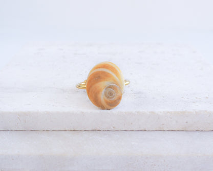 Gold Eye of Saint Lucia Shell Ring on display, Saint Lucys Eye Shell, Cat Eye Ring, Shell from Portugal, Sea by Lou 