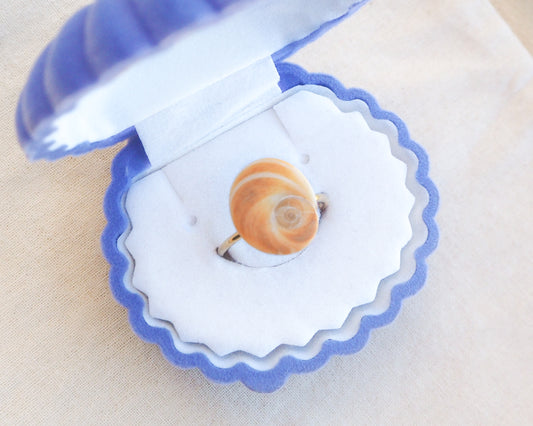 Gold Eye of Saint Lucia Shell Ring in box, Saint Lucys Eye Shell, Cat Eye Ring, Shell from Portugal, Sea by Lou 