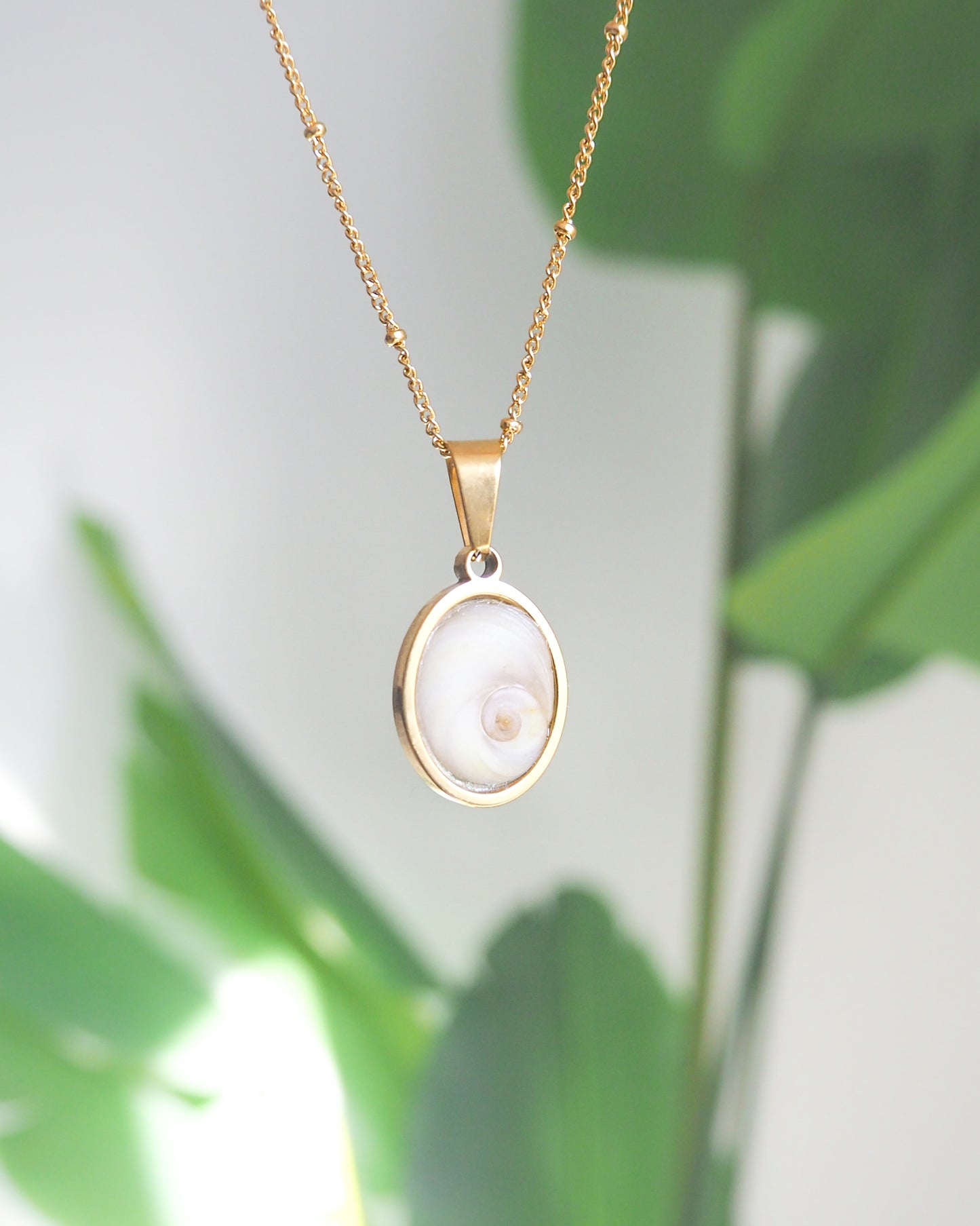 Front view Ivory White Eye of Saint Lucia Gold Necklace with green plant background, 18k gold stainless steel shiva eye pendant necklace, Saint Lucy Eye, operculum pendant