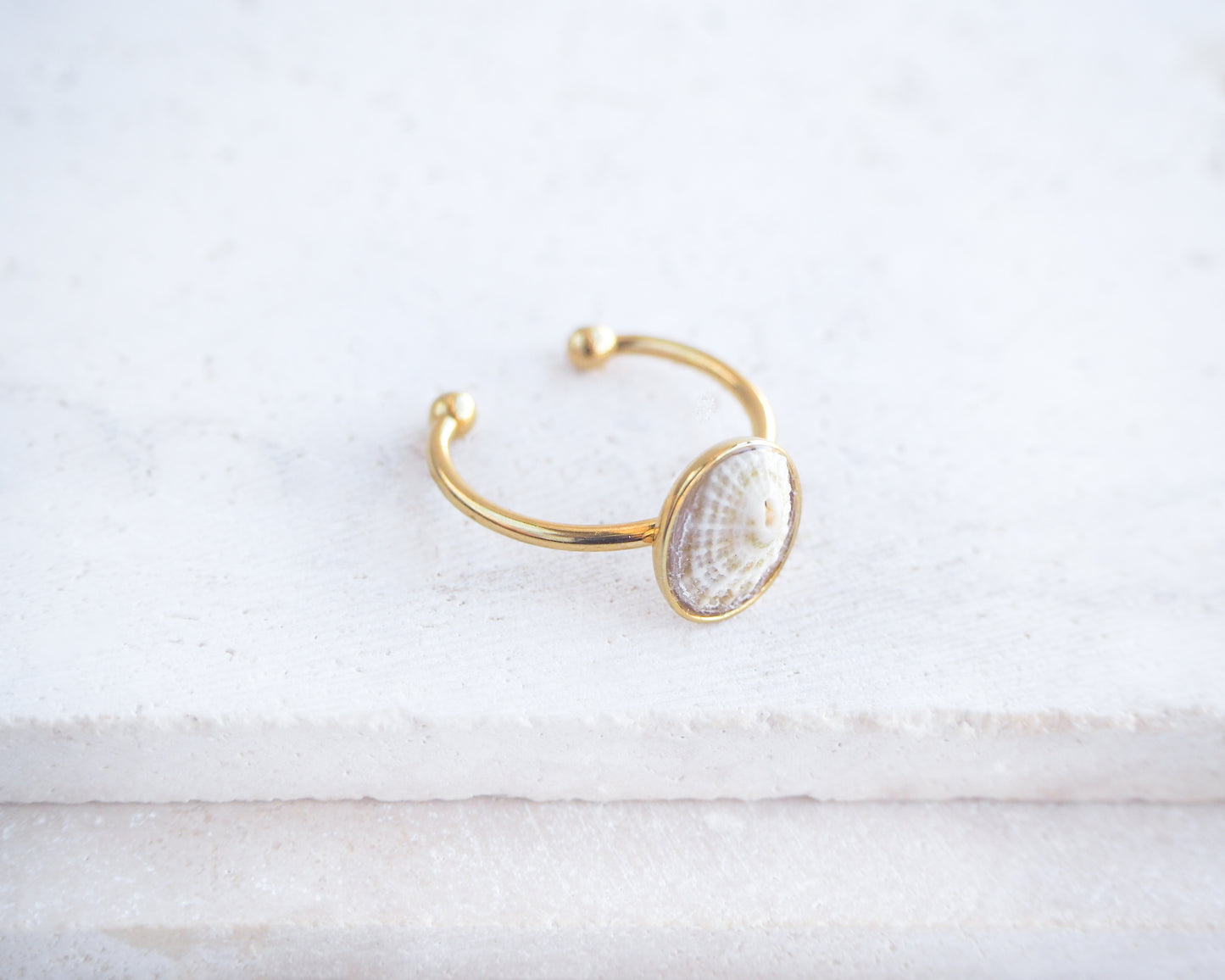 Side view of Gold Light Common Keyhole Limpet Shell Ring on display, Light Limpet Shell from Portugal set in a 18k gold stainless steel bezel adjustable ring 