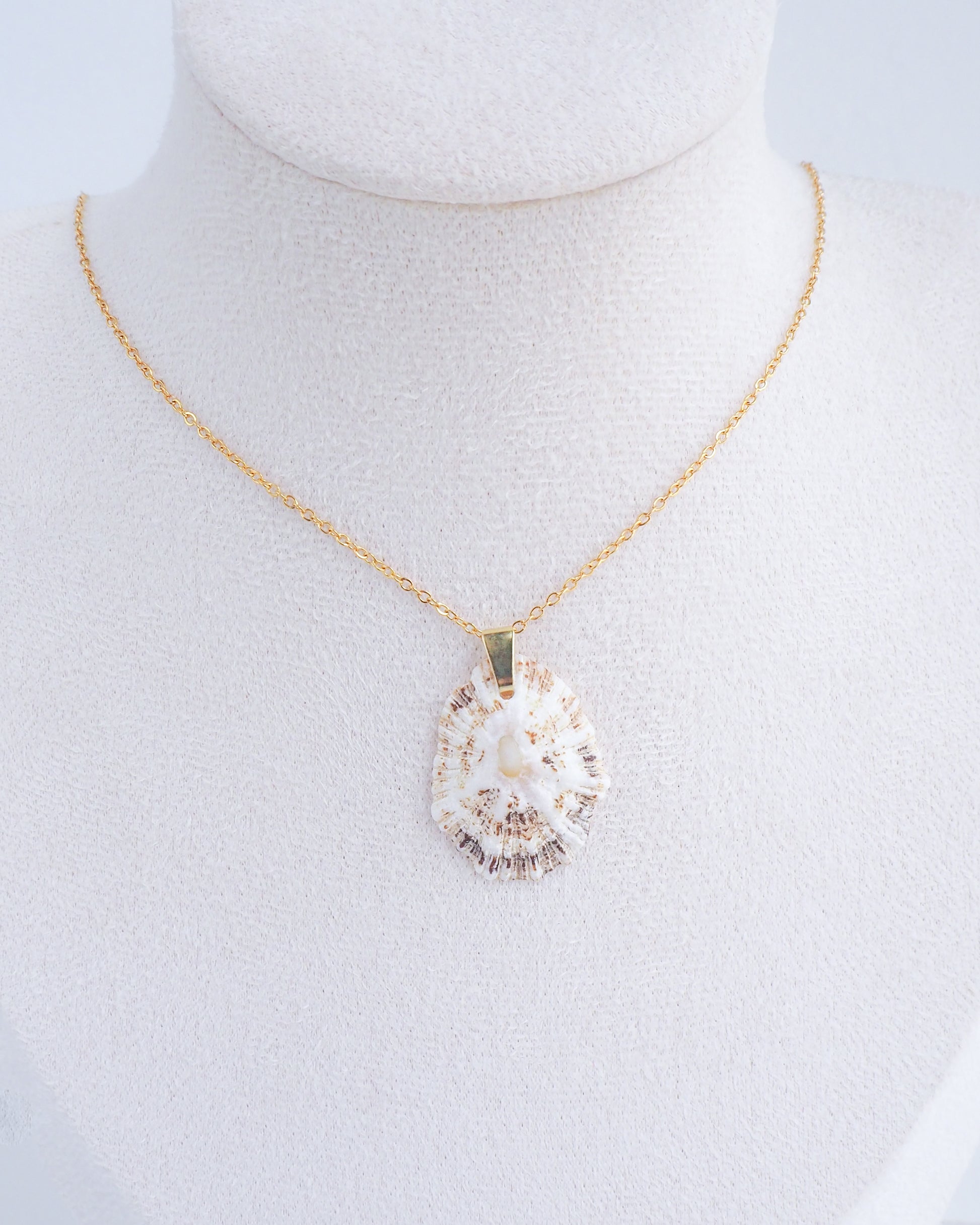 Light Limpet Shell Gold Necklace from Portugal on display
