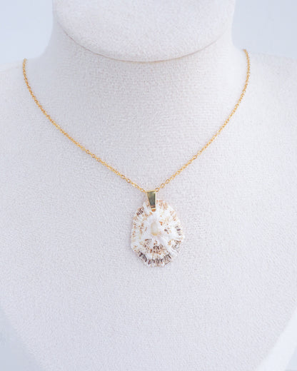Light Limpet Shell Gold Necklace from Portugal on display