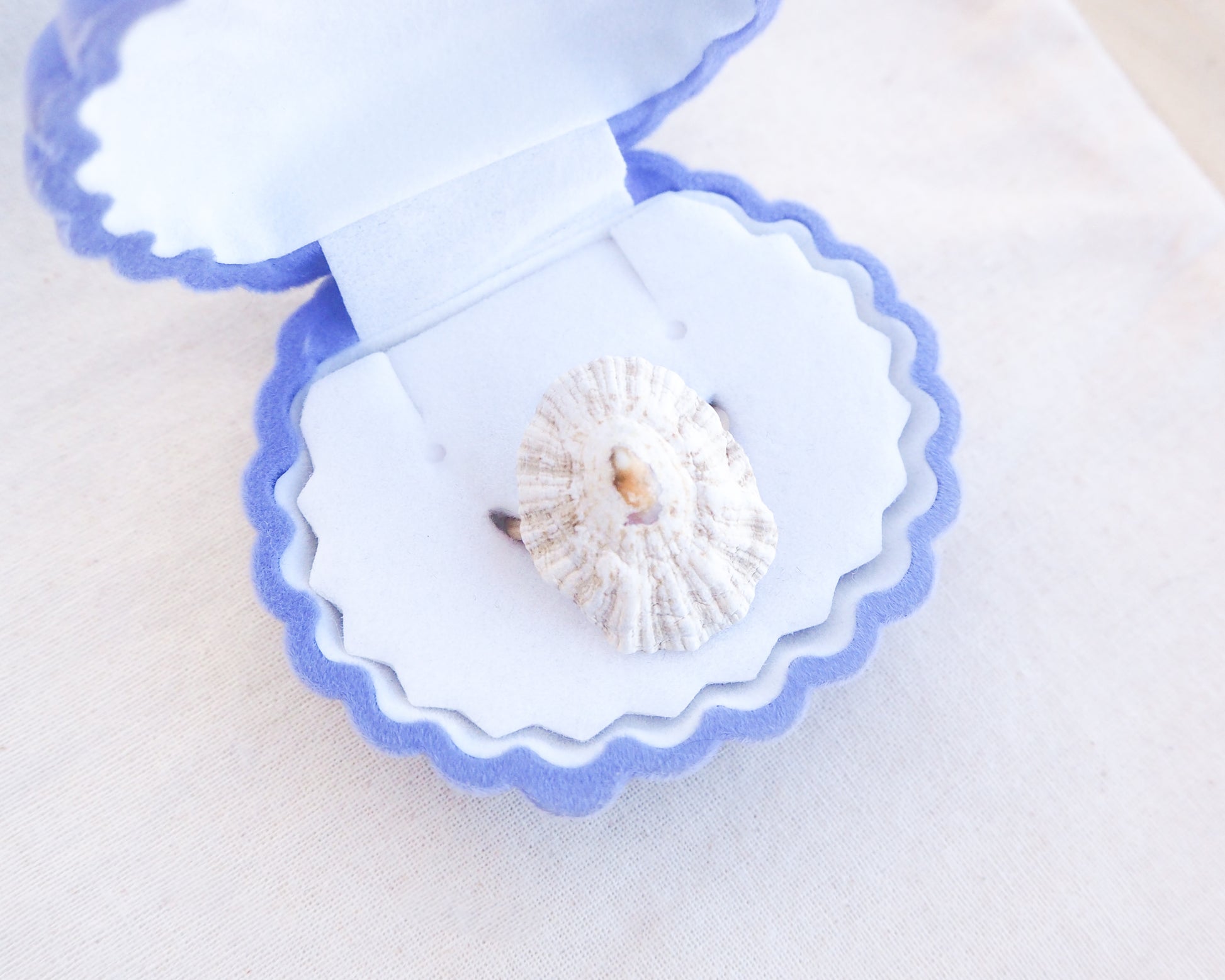 Limpet Shell Gold Ring from Portugal on in jewelry box