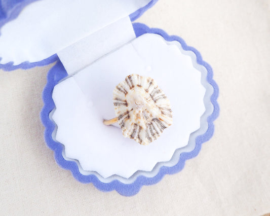 Light Limpet Shell Gold Ring from Portugal in blue velvet shell jewelry, Handpicked Rough Limpet Shell from Portugal, Gold Stainless Steel ring with Limpet Shell