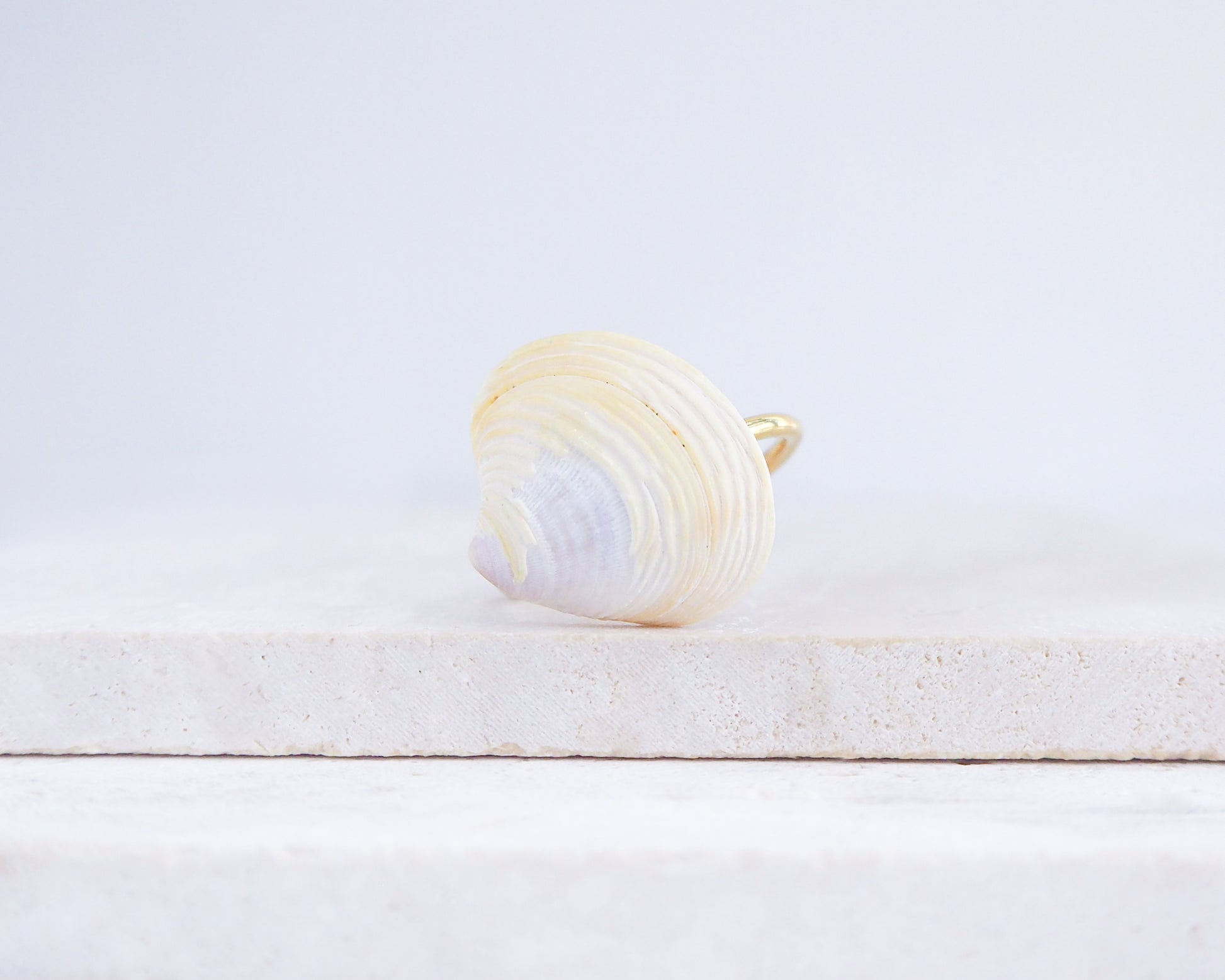 Light Venus Shell Gold Ring from Portugal on stone displayed