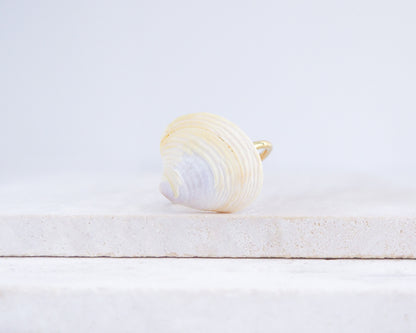 Light Venus Shell Gold Ring from Portugal on stone displayed