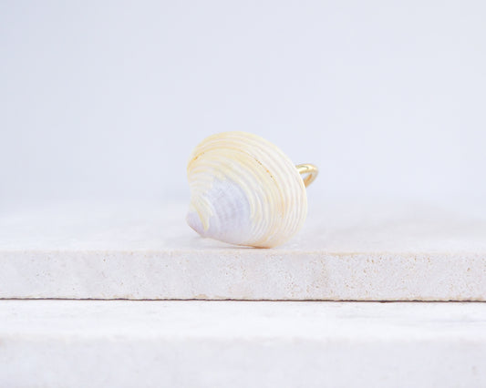 Light Venus Shell Gold Ring from Portugal on stone displayed