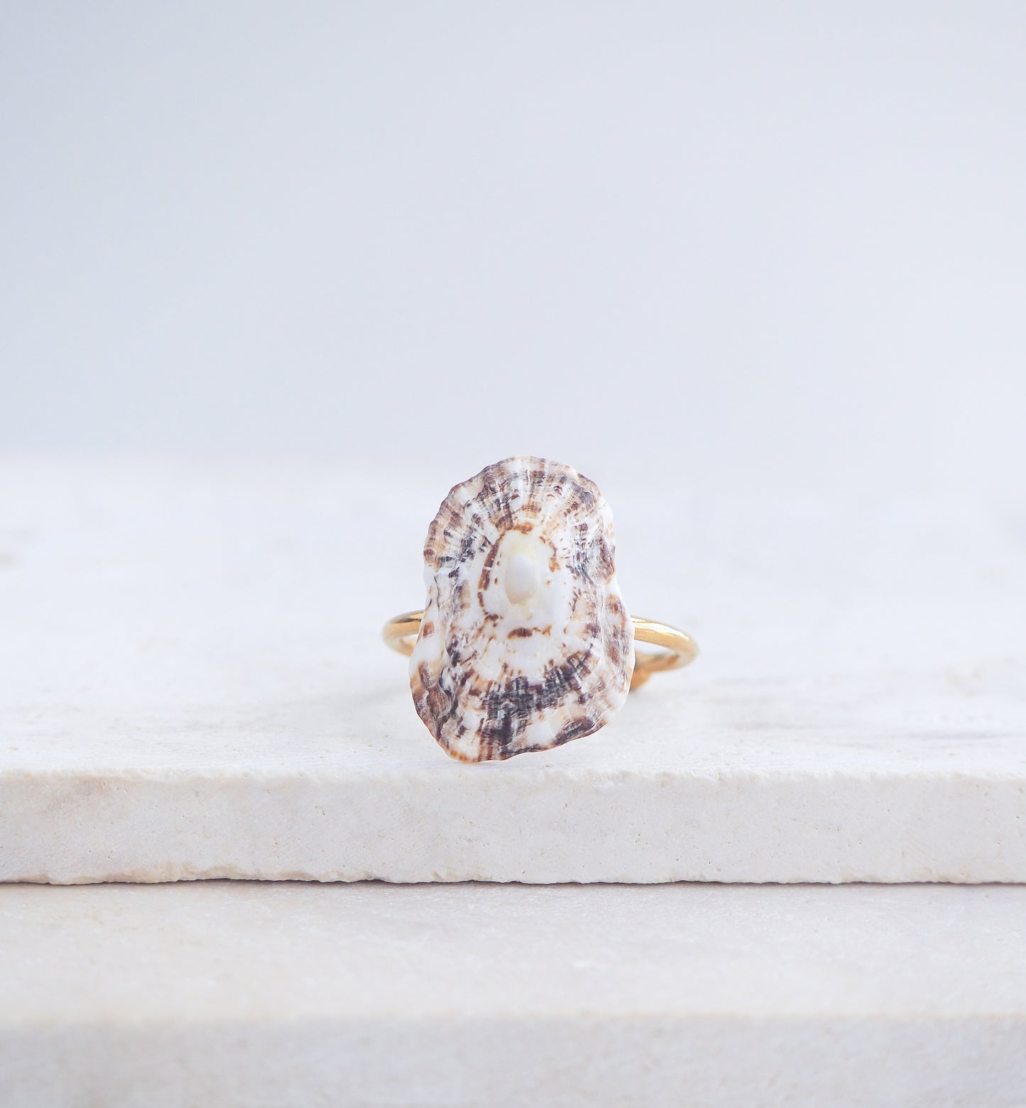 Limpet Shell Gold Adjustable Ring from Portugal on stone displayed