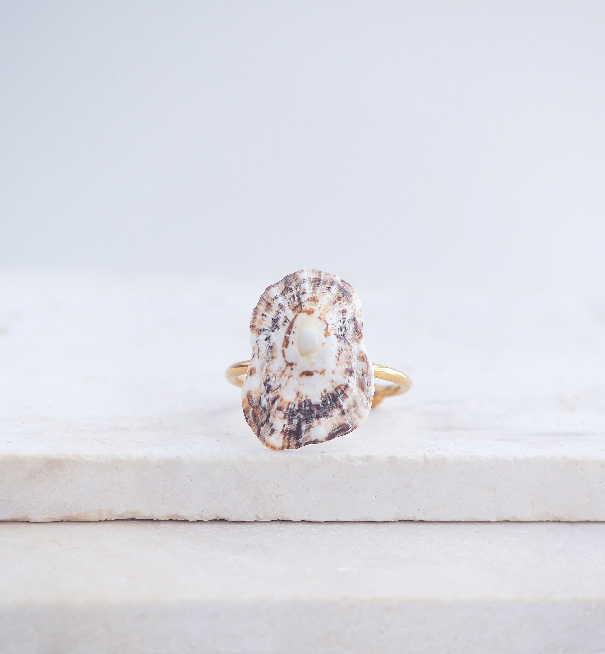 Limpet Shell Gold Adjustable Ring from Portugal on stone displayed