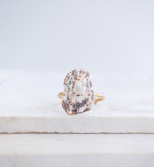 Limpet Shell Gold Adjustable Ring from Portugal on stone displayed