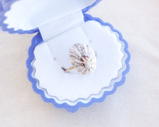 Limpet Shell Gold Ring from Portugal in jewelry box