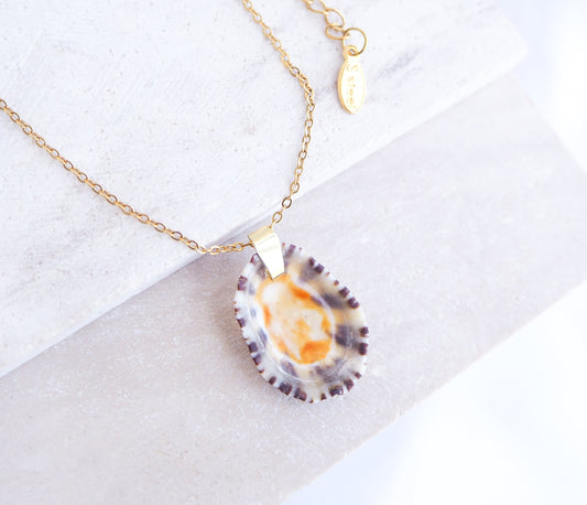 Gold Limpet Shell Upside Down Necklace with orange center on display. Limpet Shell from Portugal, Lapa Concha 
