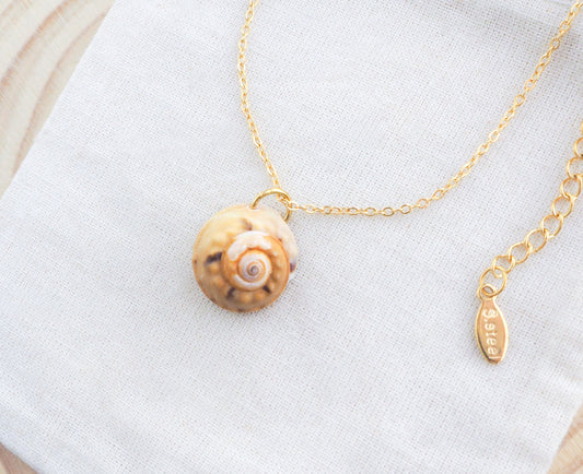 Gold Magus Top Shell Necklace on display