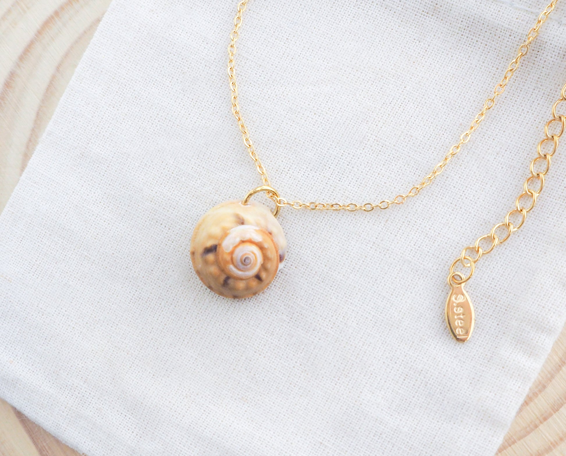 Gold Magus Top Shell Necklace on display. A gold chain necklace featuring a small, spiral seashell pendant. The pendant is beige and brown, with a detailed pattern. The necklace is displayed against a white background.
