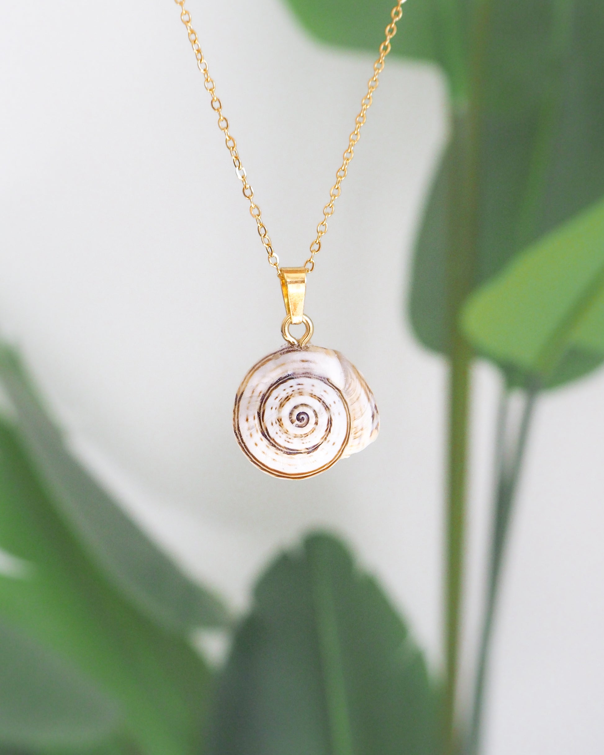 Gold Mediterranean Coastal Snail Necklace, Caracol, Sand Snail front view