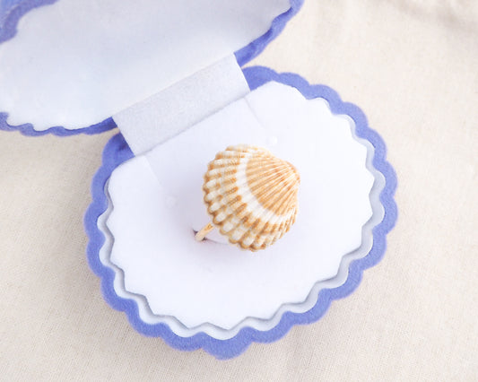 Front view of horizontal Mediterranean cockle shell ring from Portugal in blue seashell box, beach surf girl jewelry, gold ring with Portuguese cockle shell, ocean inspired beach jewelry, sunny yellow orange shell from Algarve