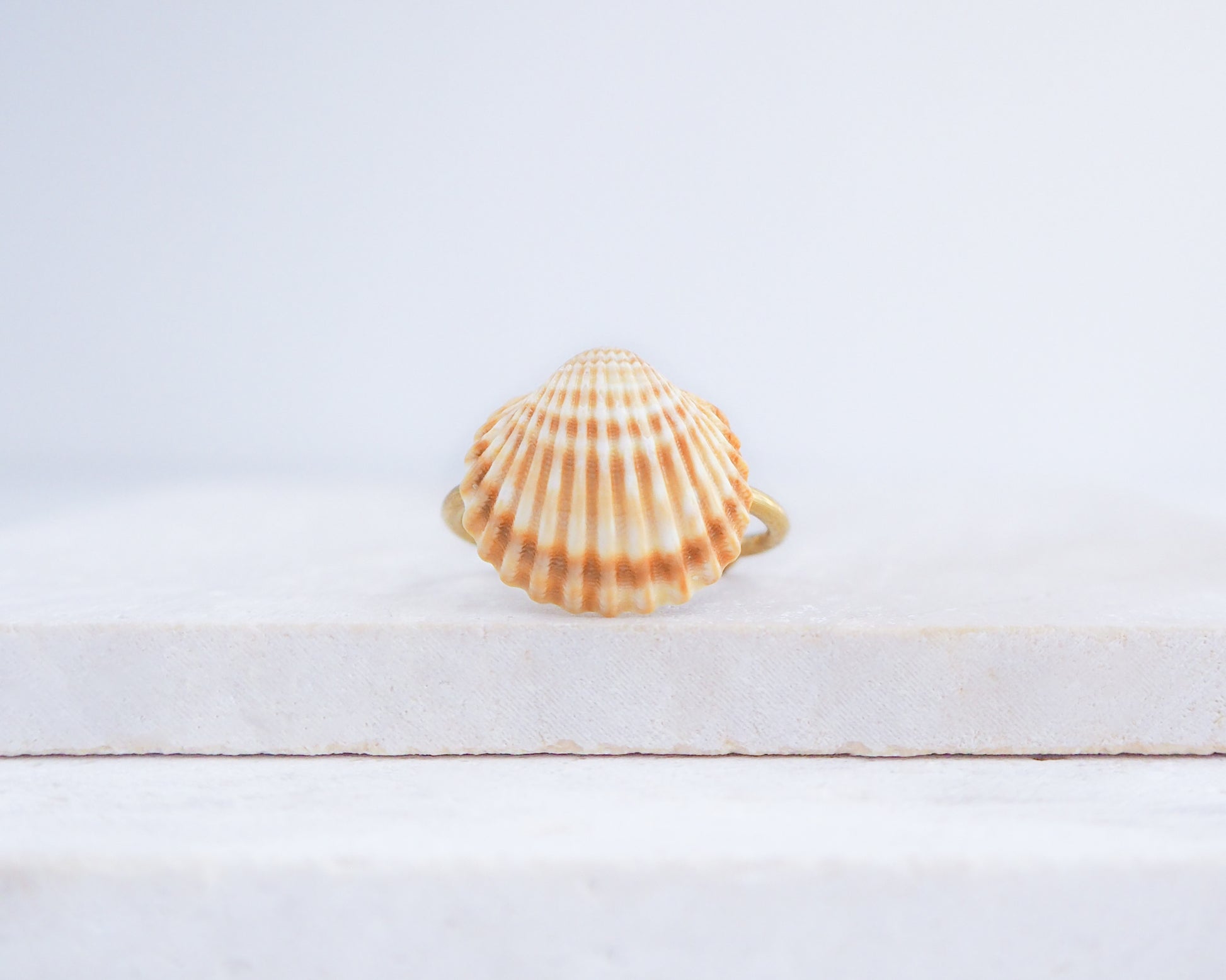 Handcrafted Mediterranean cockle shell ring from Portugal on stone displayed, beach surf girl jewelry, gold ring with Portuguese cockle shell, ocean inspired beach jewelry 