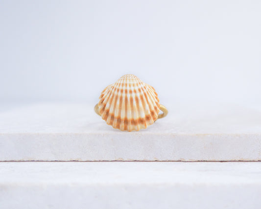 Handcrafted Mediterranean cockle shell ring from Portugal on stone displayed, beach surf girl jewelry, gold ring with Portuguese cockle shell, ocean inspired beach jewelry 