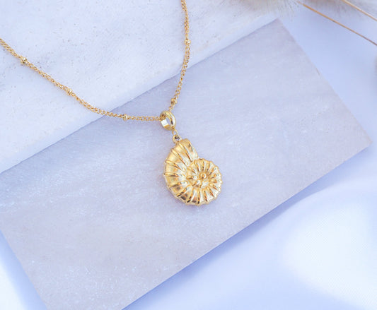 Gold Nautilus Shell Necklace on stone