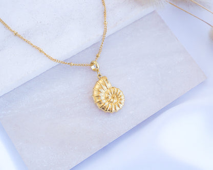 Gold Nautilus Shell Necklace on stone