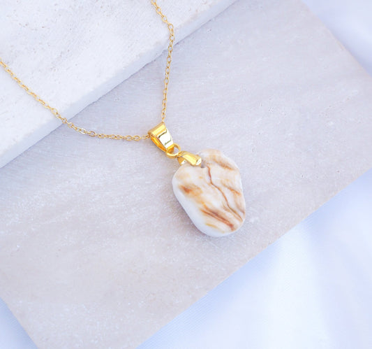 Gold Necklace with Mediterranean Cockle Shell Piece on display, Sunny Shell Necklace from Portugal