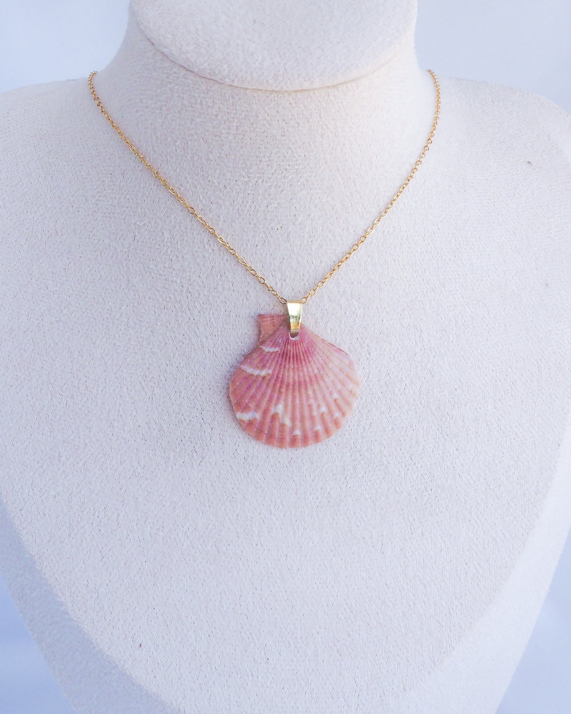 Pink Scallop Shell Gold Necklace displayed