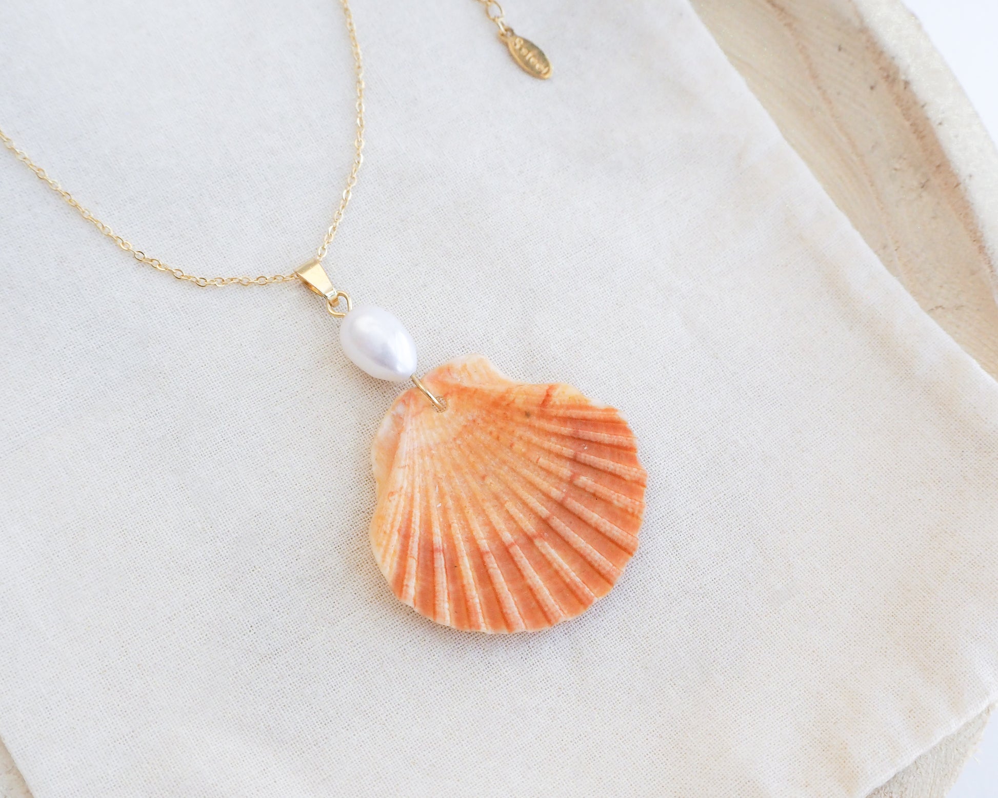 Close up of Orange Scallop Shell Pearl Gold Necklace V on cotton displayed, Pilgrims Scallop Shell from Portugal with freshwater pearl and gold chain. 